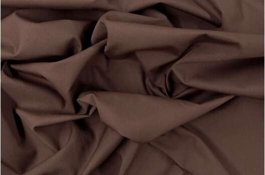 Тиси сорочечная, кофе