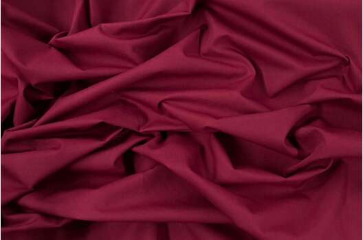 Тиси сорочечная, винная